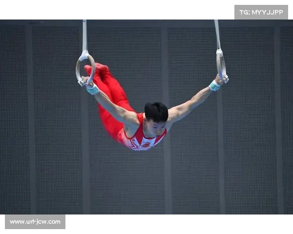 南宁体操赛张博恒兰星宇等名将亮相男子双杠等单项争夺精彩纷呈